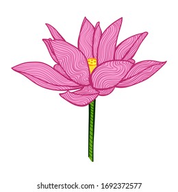 Lotus Flower, Unique Hand-drawn Illustration, Isolated Vector