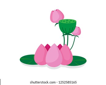 lotus flower vector