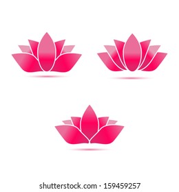 lotus flower vector