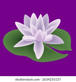 Lotus flower vector art illustrator.eps
