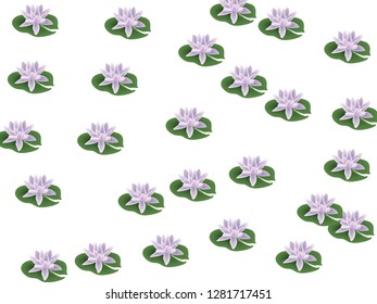 lotus flower vector for banner, presentation and wallpaper purposes on white background 107