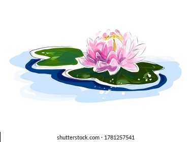 Lotus flower vector drawing sketch. Water lily with leaves illustration. Spa botany design.