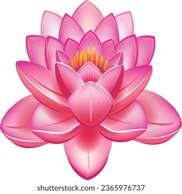 lotus flower vector free design
