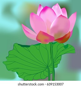 The Lotus flower. Vector illustration.