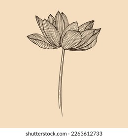 Ilustración vectorial de flores de Lotus con arte de línea