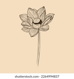 Lotus flower vector illustration with line art