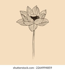 Ilustración vectorial de flores de Lotus con arte de línea