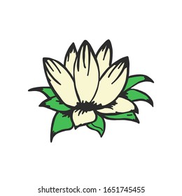 Lotus flower. vector illustration in sketch style.pale yellow flower with green petals. Suitable for logo, invitation cards, t-shirt design, Cup or fabric.isolated on white background.