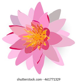 Lotus Flower Vector Illustration Top View Stock Vector (Royalty Free ...