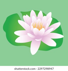 Lotus flower vector image or clipart