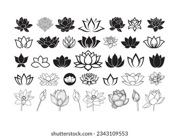 Lotus Flower Vector For Print, Lotus Flower Clipart, Lotus Flower vector Illustration