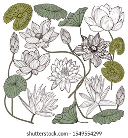 Lotus flower vector set. Hand drawn ink black outline lotus flowers and leaves isolated on white background. Asian flower for worship Buddhism.