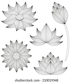 Lotus flower vector set on white background