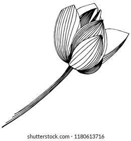 Lotus flower in a vector style isolated. Isolated illustration element. Full name of the plant: lotus. Vector flower for background, texture, wrapper pattern, frame or border.