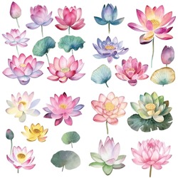 Lotus Flower Vector Watercolor Paint Collection