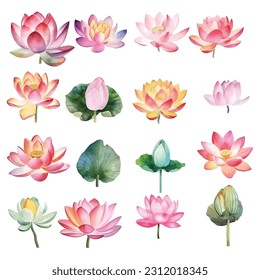 Lotus flower watercolor paint collection