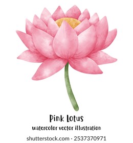 Lotus Flower in watercolor vector illustration