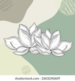 Lotus flower yoga style. Peace  blossom harmony reflection. Calm inspires balance