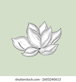 Lotus flower yoga style. Peace  blossom harmony reflection. Calm inspires balance