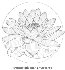 
Lotus flower.Coloring book antistress for children and adults. Illustration isolated on white background.Black and white drawing.Zen-tangle style.