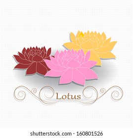 Lotus Flowers