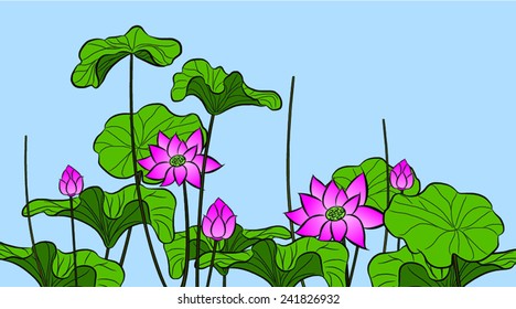 Lotus Flowers