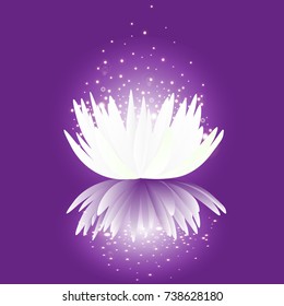 Lotus flowers