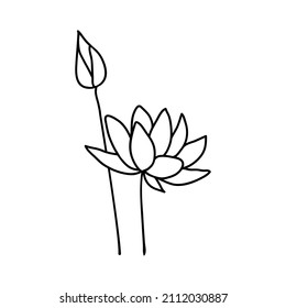 Lotus flowers with bud in doodle style. Drawn with an outline on a white background. Vector illustration.