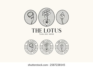 lotus flowers, buds, petals with leaves line art vintage logo design. simple several stems of lotus with leaves badge logo concept. feminine lotus flower logo for beauty care, cosmetic, boutique