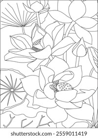 Lotus flowers coloring pages vector