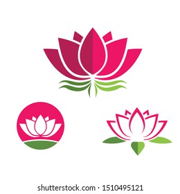 Lotus flowers design logo template icon Vector.