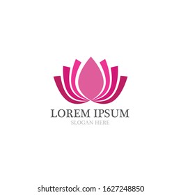  lotus flowers design logo Template icon