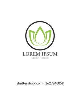  lotus flowers design logo Template icon