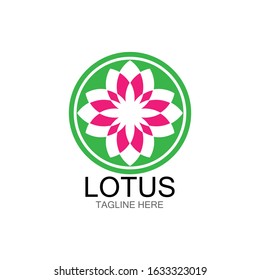 lotus flowers design logo Template icon