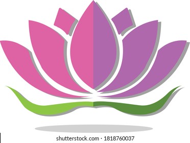 Lotus flowers design logo template icon