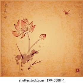 Lotus flowers and dragonfly hand drawn with ink on vintage background. Traditional oriental ink painting sumi-e, u-sin, go-hua. Hieroglyphs - spirit, nature, peace.