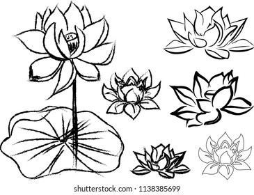 The lotus flowers are drawn in strokes