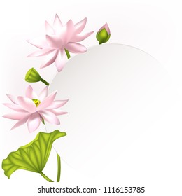 Lotus  Flowers  Floral background  Water lily  Buds  Petals  Vector illustration  Isolated  White background  Border  Purple 