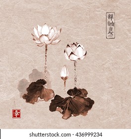 Lotus flowers hand drawn with ink on vintage background. Contains hieroglyphs - zen, freedom, nature, beauty Traditional Japanese ink painting sumi-e