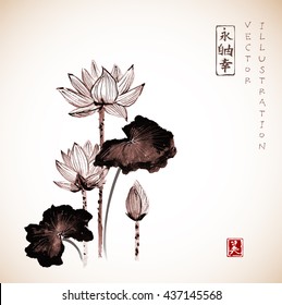 Lotus flowers hand drawn with ink in vintage style. Traditional Japanese ink painting sumi-e. Contains hieroglyphs - eternity, freedom, happiness, beauty