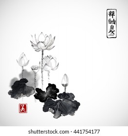 Lotus flowers hand drawn with ink isolated on white background. Contains hieroglyphs - zen, freedom, nature, beauty Traditional Japanese ink painting sumi-e