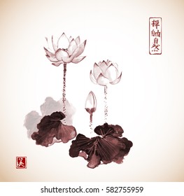Lotus flowers hand drawn with ink. Traditional Japanese ink painting sumi-e