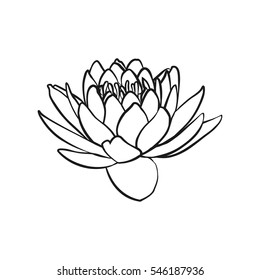 Lotus flowers icon. The black line drawn on a white background