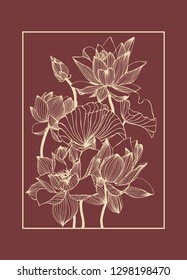 
Lotus flowers illustration