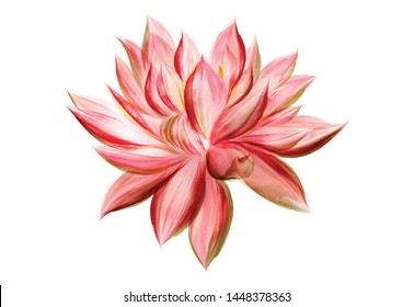 lotus flowers isolated on white background. Design for natural cosmetics, health care and ayurveda products, yoga center.