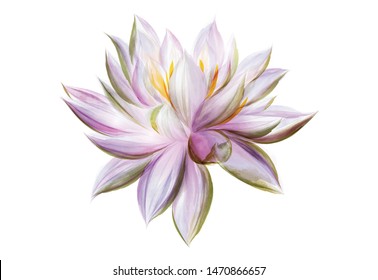 lotus flowers isolated on white background. Design for natural cosmetics, health care and ayurveda products, yoga center.