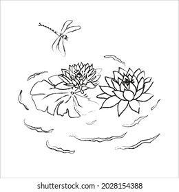 Lotus flowers and leaves, dragonfly on a white background in a minimalist style. For posters, postcards, invitations, illustrations. Stock vector illustration.