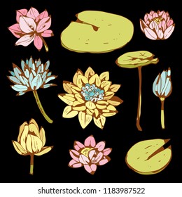 Lotus flowers, leaves. Hand drawn isolated on black background set