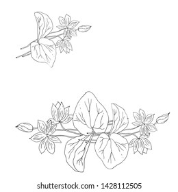 Lotus flowers. Line drawing. Text frame. Vector illustration.