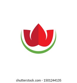 Lotus flowers logo Template Vector 